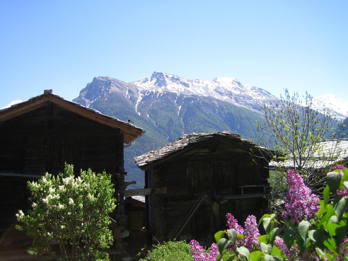 Sonnenfeld Apartamento Blatten bei Naters Exterior foto
